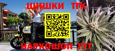 стаф Лесосибирск
