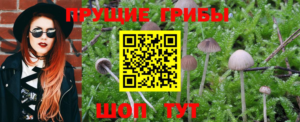 Псилоцибиновые грибы GOLDEN TEACHER  Галлюциногенные грибы GOLDEN TEACHER  Вход с VPN  Учалы 